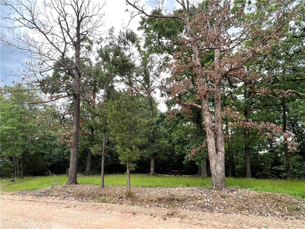 Perfectly situated between Huntsville and Eureka Springs, this is the spot to be. Leave the city and come be surrounded by mature trees and wildlife. Here you'll find a secluded setting, major county road frontage and no restrictions! Whether it's a dream home you want to build on the already cleared acreage or a get-away youāve been longing for, this is the opportunity you've been waiting for. Property is cleared in the middle to build upon with electric on site, or wooded for tons of recreational enjoyment. Come appreciate the Natural State!