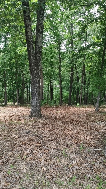 Amazing lot located in the Havenwood subdivision. This lot has been cleared to provide the perfect building spot for your summer getaway or dream home while also preserving some of the tree's and natural surroundings. Water, electricity, phone/internet on site. The lot provides partial summer views of Beaver lake and nice open view during winter months. This lot also comes with rare boat slip and lift (#2810) that's only a short distance away
Cross streets are Havenwood Rd/Center Rd. There is a partial summer view of Beaver Lake and an open winter view.