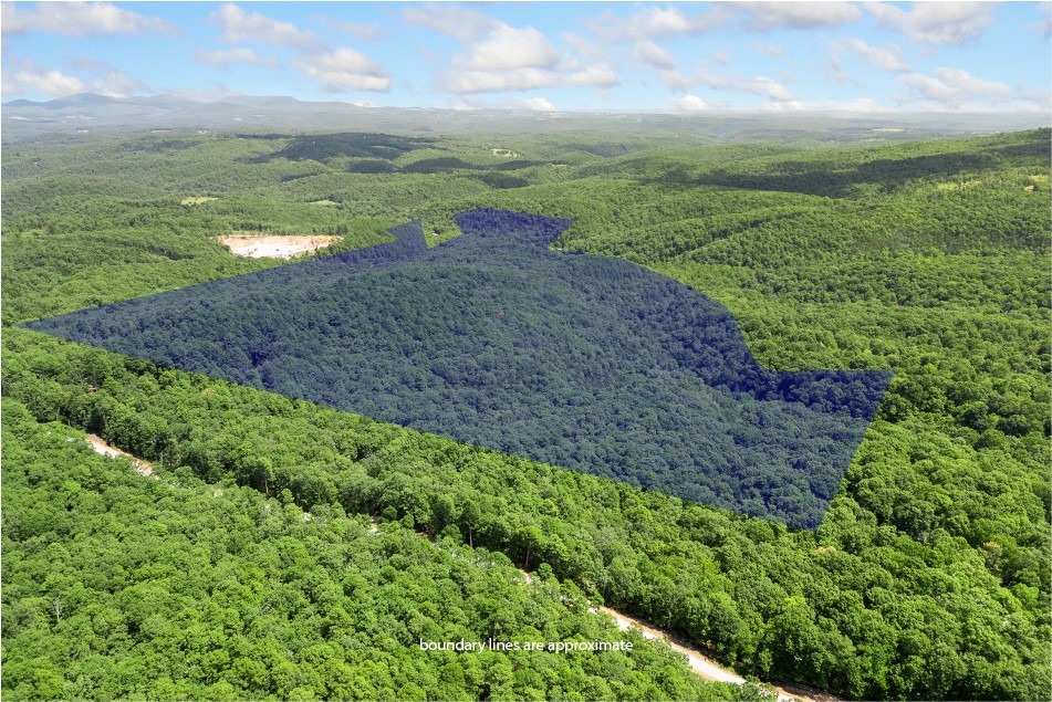 Discover the perfect blend of seclusion and accessibility with this beautiful 174.69 m/l acre property just minutes south of Jasper! Mostly wooded and rich with natural beauty, this versatile tract features a flat pasture area, ideal for a homesite, livestock, or recreational use. A wet weather creek runs along the property line, adding to the scenic charm. Abundant wildlife - including deer, turkey, and even an occasional black bear - makes this a hunter's paradise or nature lover's retreat. With easy access from town, this property offers the privacy you want without sacrificing convenience.
Sellers are having a new survey done. Buyers to verify utilities.