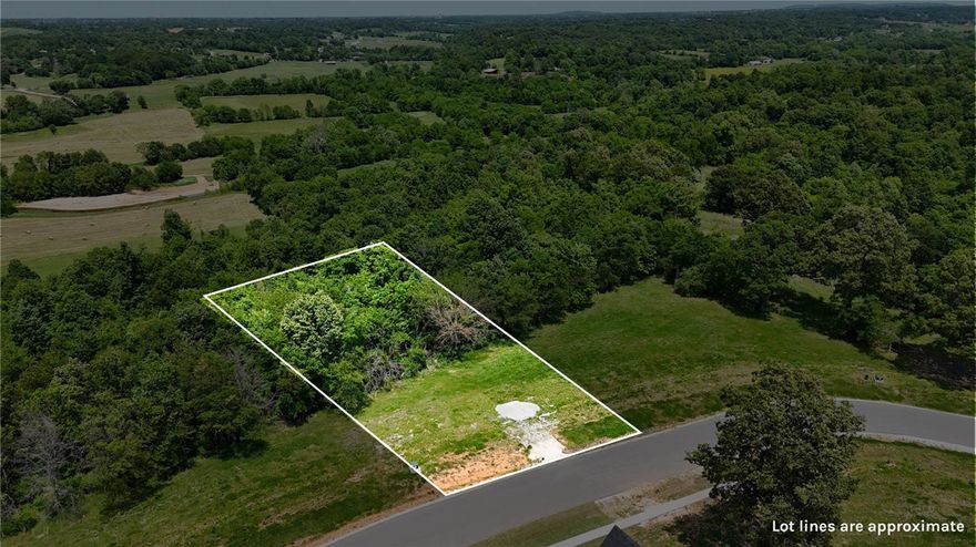 Lot 60 in Blackberry Ridge offers 1.14 acres in a scenic Fayetteville community surrounded by natural beauty. This homesite provides a great opportunity to build in an established neighborhood while still being close to everyday conveniences. Blackberry Ridge is located just minutes from I-49, with easy access to shopping, dining, schools, and more. The community also features a neighborhood pool, pavilion, and soft walking trails.