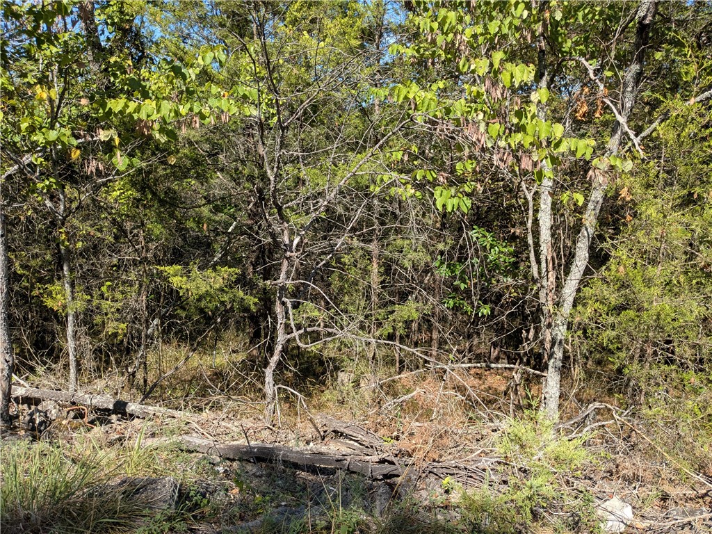 Unit 114 Holiday Island - Land