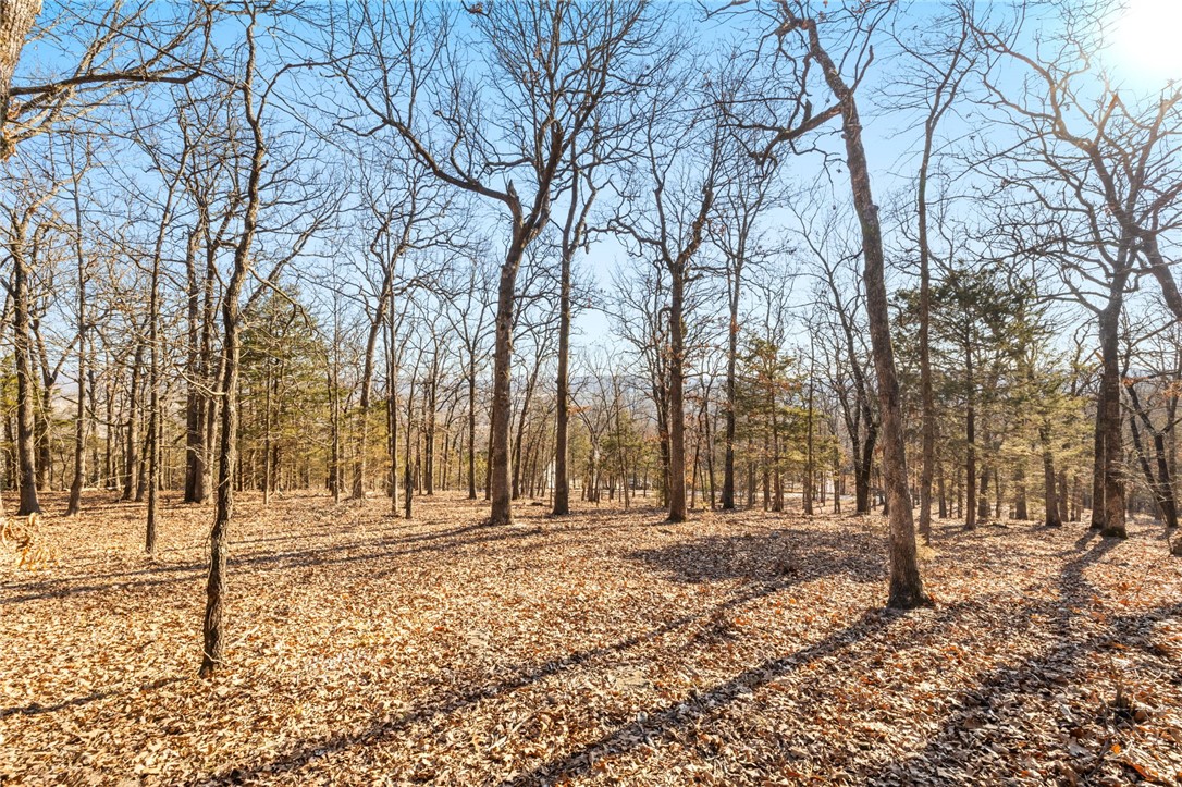 Fayetteville Outlots - Land