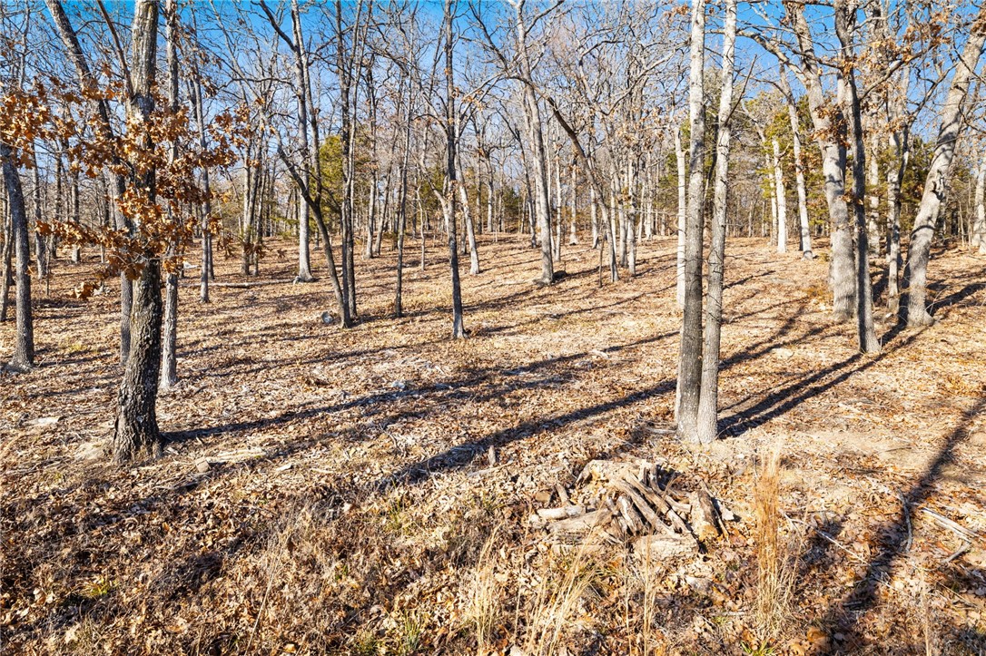 Fayetteville Outlots - Land