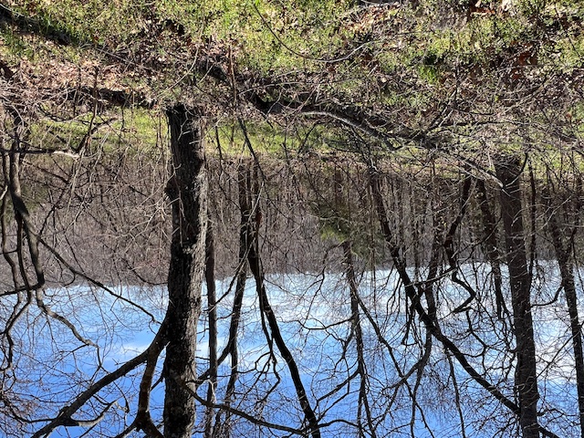 Unit 2 Holiday Island - Land