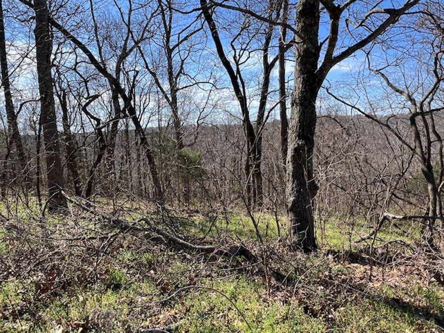 Down sloping lot that is buildable.  Unit used to allow mobile homes, but no longer does.  Will have to build a minimum 1000 sq ft home.  With some clearing you would have a nice valley view off the back of the lot.  Call today for a showing.