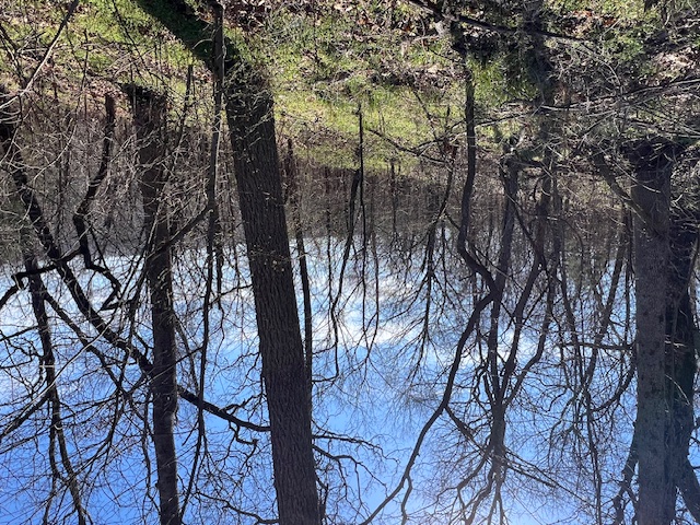 Unit 2 Holiday Island - Land