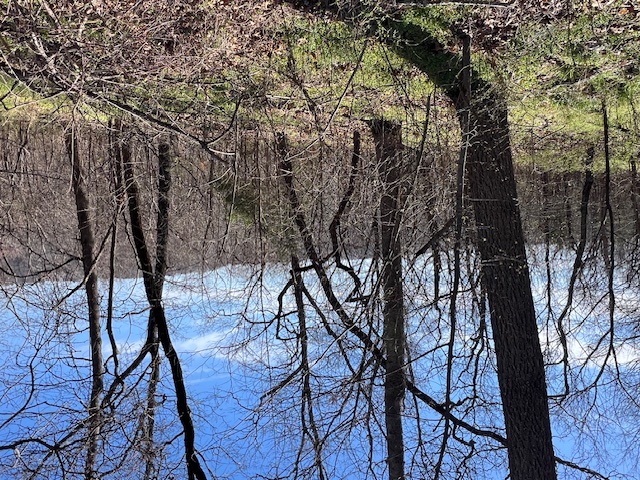 Unit 2 Holiday Island - Land