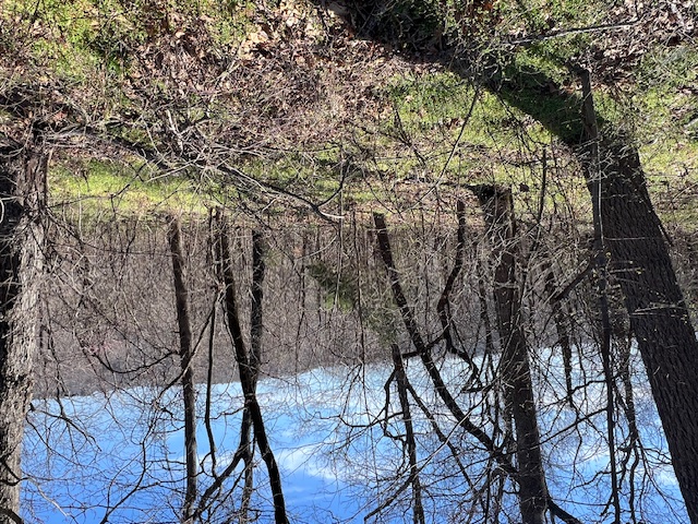 Unit 2 Holiday Island - Land