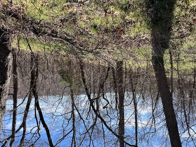 Unit 2 Holiday Island - Land