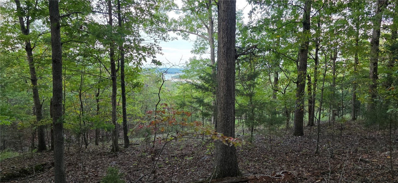 Webbs Landing Doyal Addition - Land