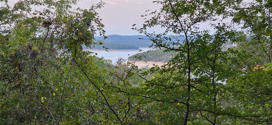 Discover the perfect spot to build your dream home in the sought-after Webb's Landing community. This beautiful lot offers views of the lake, providing a serene and picturesque setting for your future home. Enjoy fishing or recreational activities on the pristine waters of Bull Shoals Lake. As a resident, you'll also enjoy exclusive access to the private airport runway within the development—ideal for aviation enthusiasts or those who value convenient travel options. Don't miss this rare opportunity to create your custom retreat in a peaceful, well-appointed neighborhood with exceptional amenities.