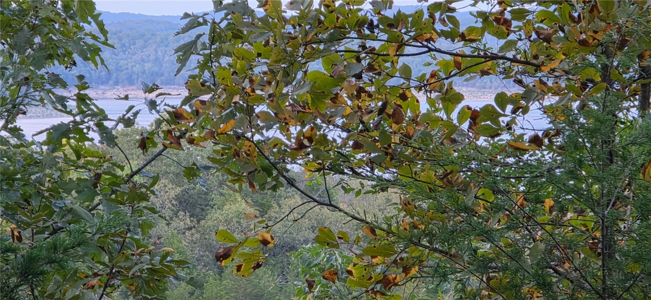 Webbs Landing Doyal Addition - Land