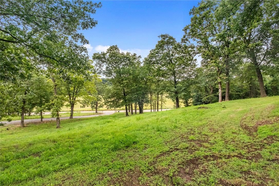 cows, country, dreams, living - Residential