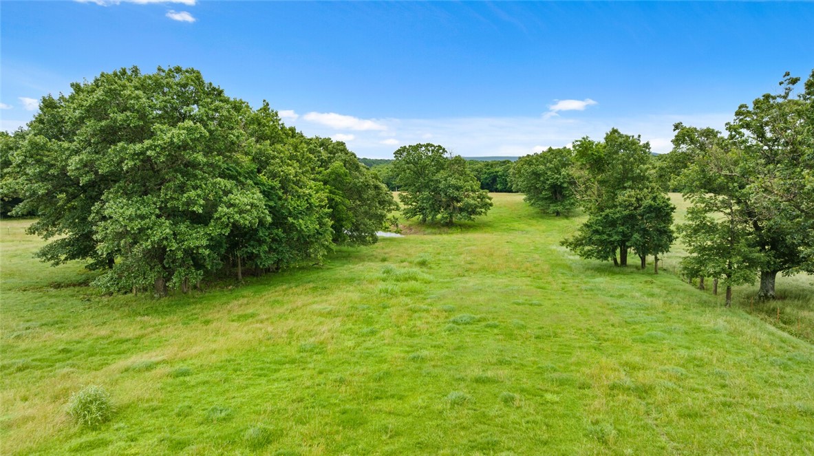 cows, country, dreams, living - Residential