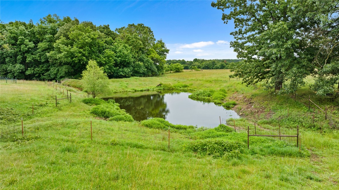 cows, country, dreams, living - Residential