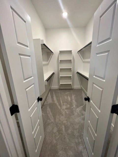 Aurora - Residential Lease