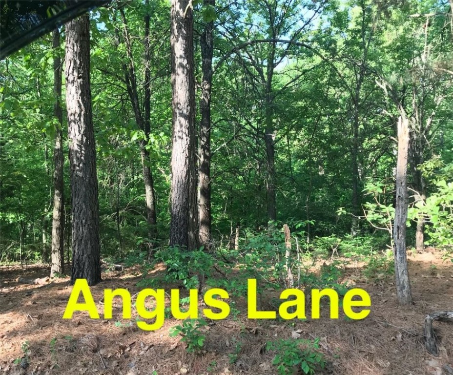 Nice building lot on cul-de-sac and near Lake Loch Lomond. Lots of privacy and close to Branchwood Rec Center. Seller has never lived on this property and will be providing Seller's Property Disclosure.