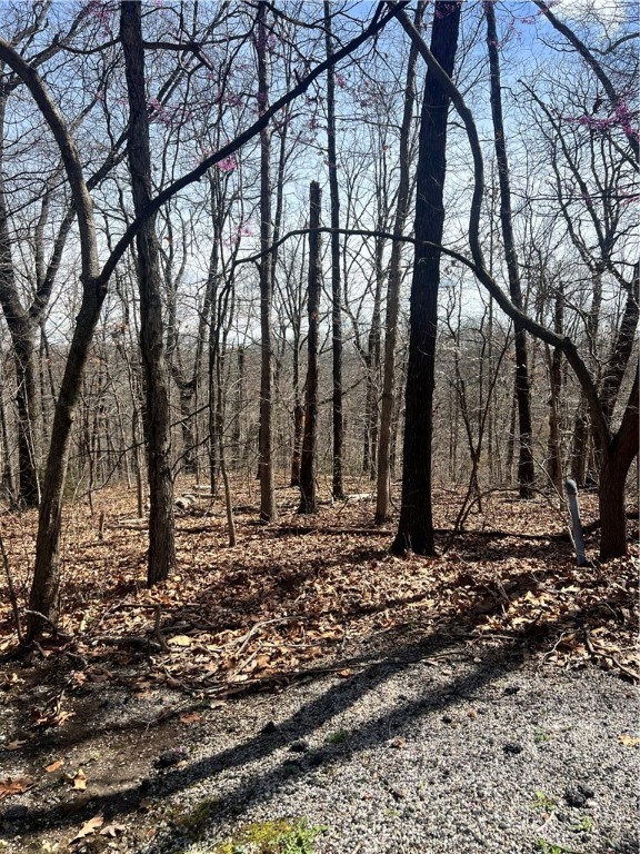 Looking where to build your house? This is the perfect place surrounded by nature and close to lakes, club houses, golf courses, walking distance to Bike Trails such as: Skip-Town, Flo Ride, Sbat, Taylor Homestead and many more amenities.