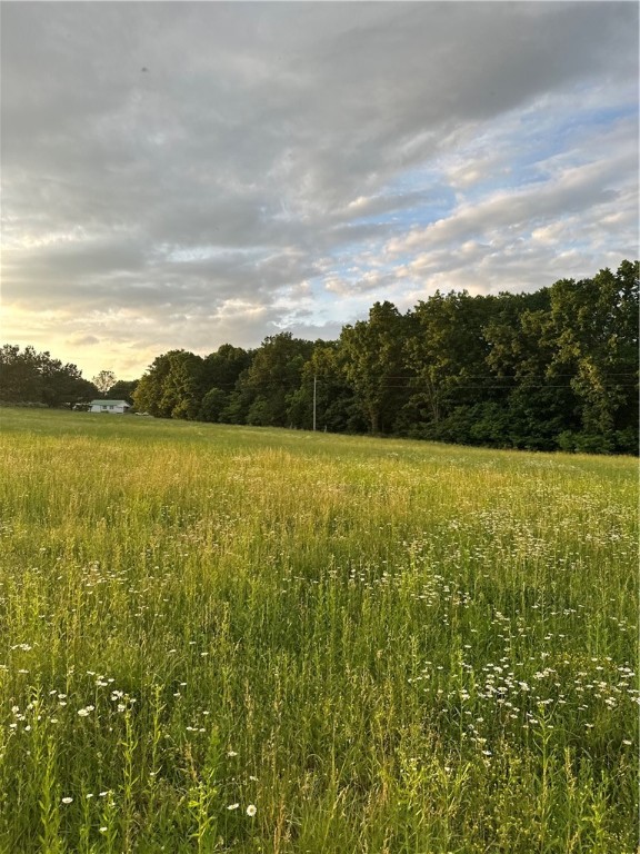 Discover the perfect opportunity to build your dream home on this beautiful 6-acre parcel nestled in a peaceful rural setting. With plenty of open space and natural beauty, this property offers a serene escape from the hustle and bustle, while still providing easy access to hwy 412 down the road.
A mixture of open pasture and scattered trees create an ideal canvas for a custom home, hobby farm, or quiet weekend retreat. The land provides ample space for gardens, livestock, and outdoor living, all while enjoying the tranquility of country life. There is the potential for rural water access, adding to the convenience and value of the property. Electric at the road. Whether you're looking to start a homestead or invest in a quiet piece of land for the future, this 6-acre tract offers endless possibilities.