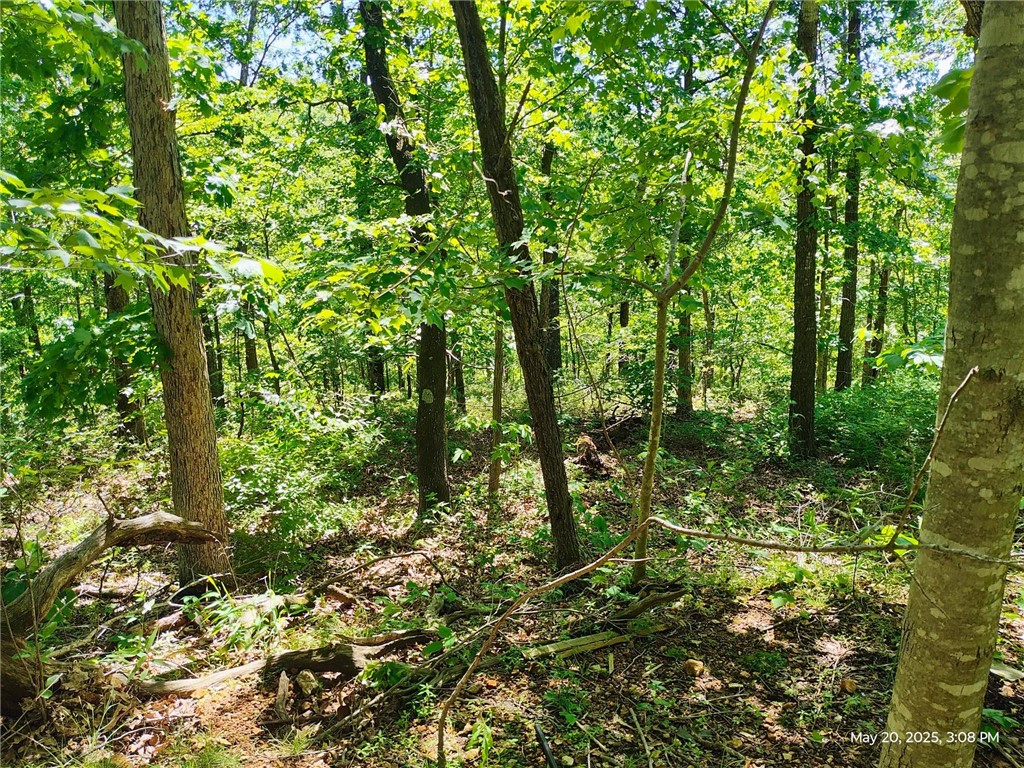 Super area, Several new homes being built nearby large lot. Community located, close to I-49 or 71N. Lakes, golf courses, bike trails and other great to recreational opportunities. Build & live in a fabulous resort community. Close to Bentonville but private.