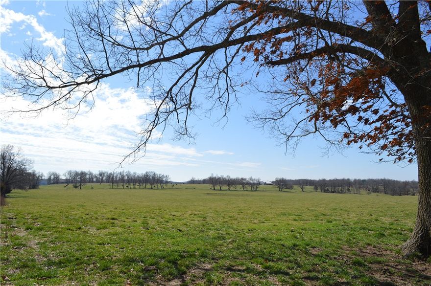 230 gorgeous, rolling acres on 3 fully fenced parcels. 4 ponds, spring-fed creek, views. Cross-fenced. Working pen with head chute, load out, several gates to pens. East parcel is 126.43 acres. West parcel is 103.54 acres. Small .40 acre parcel at south tip of west parcel.
