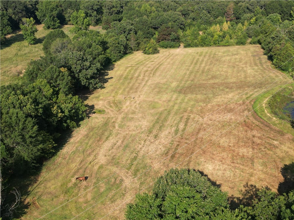 Discover the perfect spot to build your dream home on this beautiful Lot 13 located at 711 Twin Dikes Rd in Atkins, AR. This approximately 5-acre parcel offers no restrictions, giving you the freedom to create the lifestyle youāve been dreaming ofāwhether that means building a custom home, placing a mobile home, starting a hobby farm, or simply enjoying the peaceful countryside. The land offers a great mix of open space and natural surroundings with utilities nearby (buyer to verify). Located just minutes from Lake Atkins and the Twin Dikes boat ramp, this property provides a quiet rural setting while still being convenient to town. Donāt miss this opportunity to own a slice of the Arkansas River Valley!