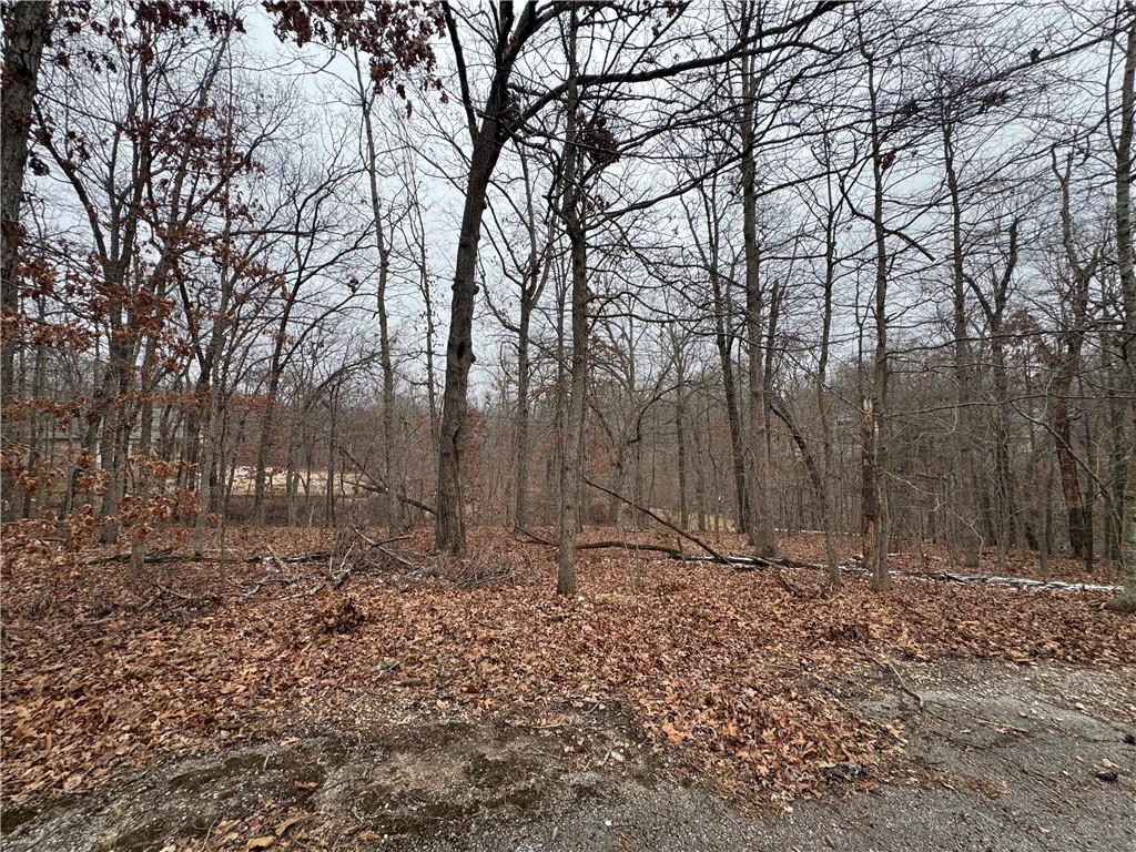 With only 2 homes currently on this cul-de-sac, the breathtaking scenery and abundance of privacy will make for the perfect dream home. This lot ALSO backs up to the Branchwood Disc Golf course/walking path near the 7th and 8th hole. Imagine taking a short stroll on a summer night down to Branchwood for an evening swim, pickleball match, shooting hoops or letting the kids play on the playground. Sounds like an ideal place to call home! Check this lot out today!