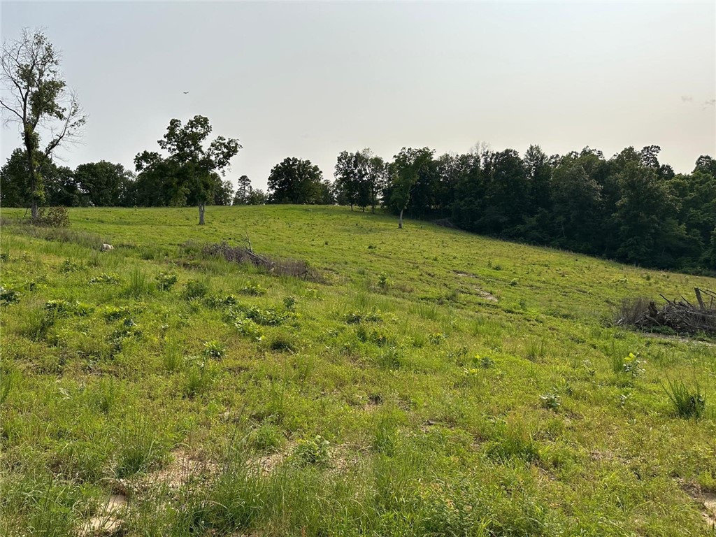 Calling all ranchers, horse lovers, and wide-open-space dreamersāthis is the land youāve been waiting for. Located down a quiet gravel county
road in Marion County, this stunning 80 AC M/L parcel offers rolling pastures, year-round creeks, and views that stretch for miles. Whether
you're looking to run cattle, train horses, or build your forever home, this land is ready. The natural lay of the land provides excellent grazing,
with plenty of water and shade for livestock. And with multiple potential home sites, you can create the country life youāve always
wantedāwhether that means a working farm, a peaceful retreat, or a little of both. Room to roam, space to grow, and skies that go on
foreverāthis property is the real deal for those who want a piece of true Ozarks country.