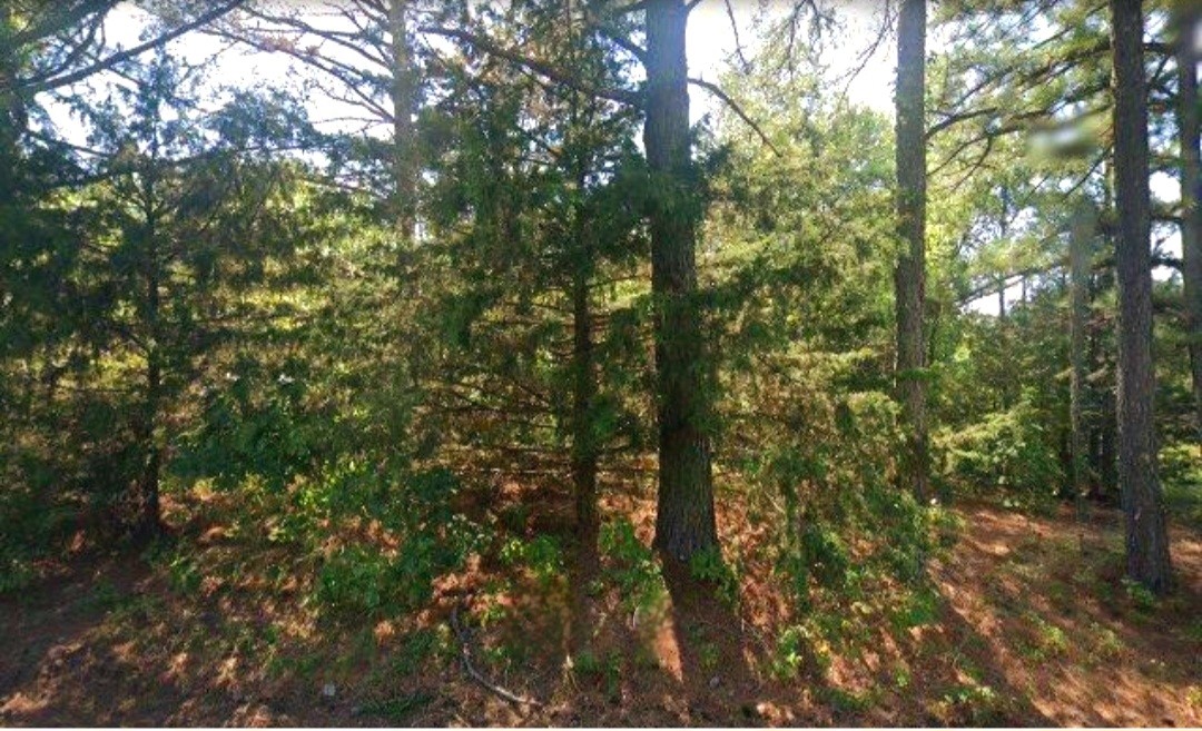 Prime corner lot available in the sought-after Bella Vista neighborhood, situated on Wigton Circle with convenient access to the bypass. This spacious lot offers an ideal location for your dream home, providing a perfect blend of tranquility and accessibility. Don't miss the opportunity to build your future in this desirable community just minutes away from downtown Bentonville.