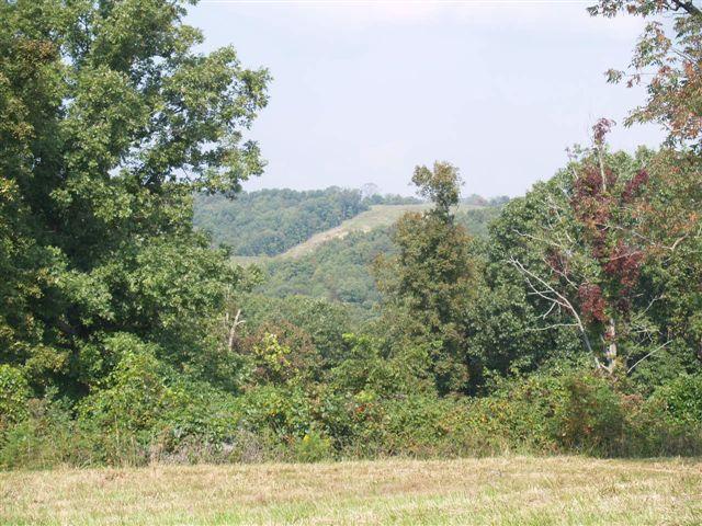 Great spot to build a home with a basement. Located between Harrison and Omaha only a few minutes from Wal-Mart and surrounded by beautiful homes. This lot could have a good view with some clearing.