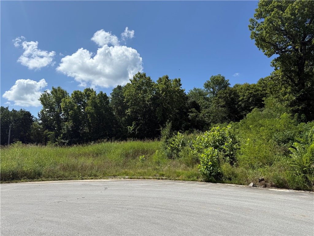 Donāt miss this rare opportunity to own two level, side-by-side lots in a quiet, well-established neighborhood in West Fork, AR. These lots offer a perfect canvas for your future home or investment, with all utilities available at the streetāsaving you time and money during construction. The lots will be freshly mowed prior to closing, ensuring a clean, ready-to-build site. Nestled in a peaceful community with easy access to schools, parks, and Highway 71, this location offers both convenience and a small-town charm. Whether youāre looking to build now or invest for the future, this is an excellent opportunity in a growing part of Northwest Arkansas.