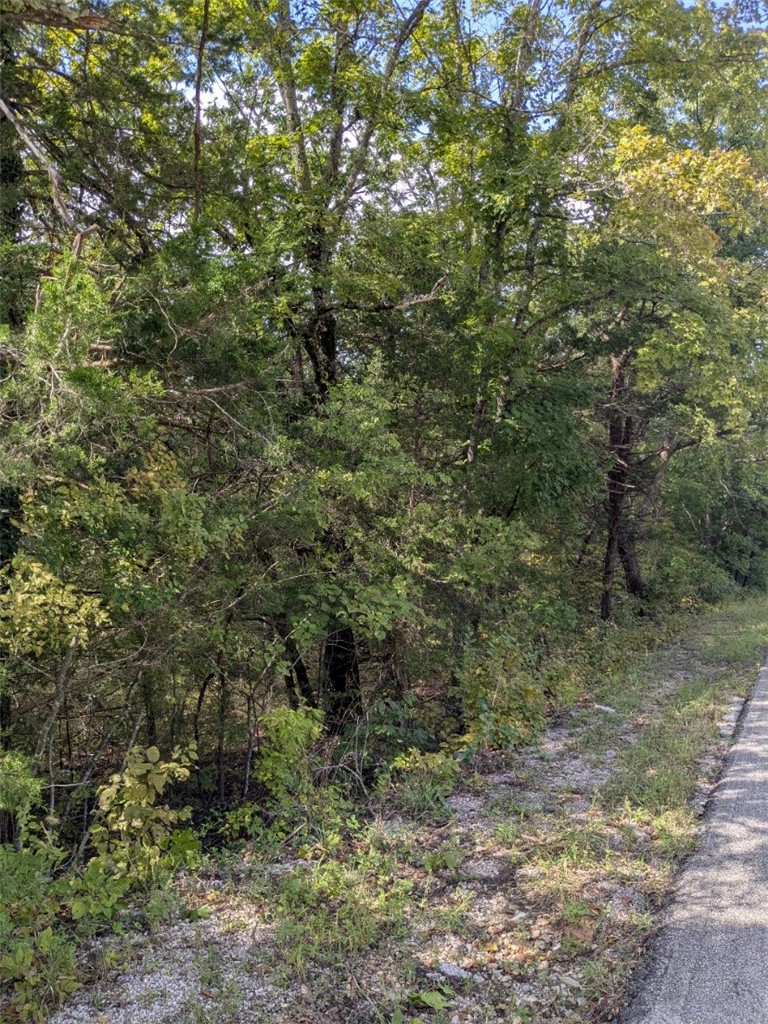 Unit 7 Holiday Island - Land