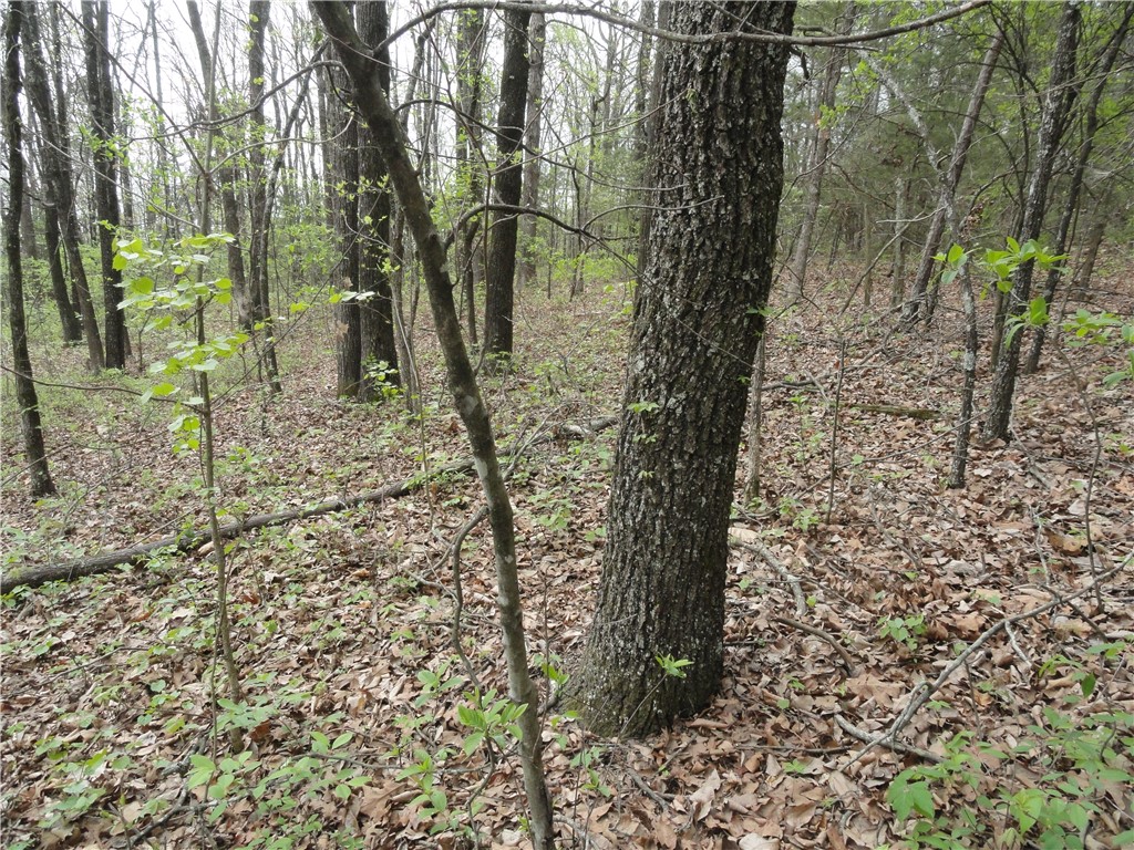Hunter Mtn Estates - Land