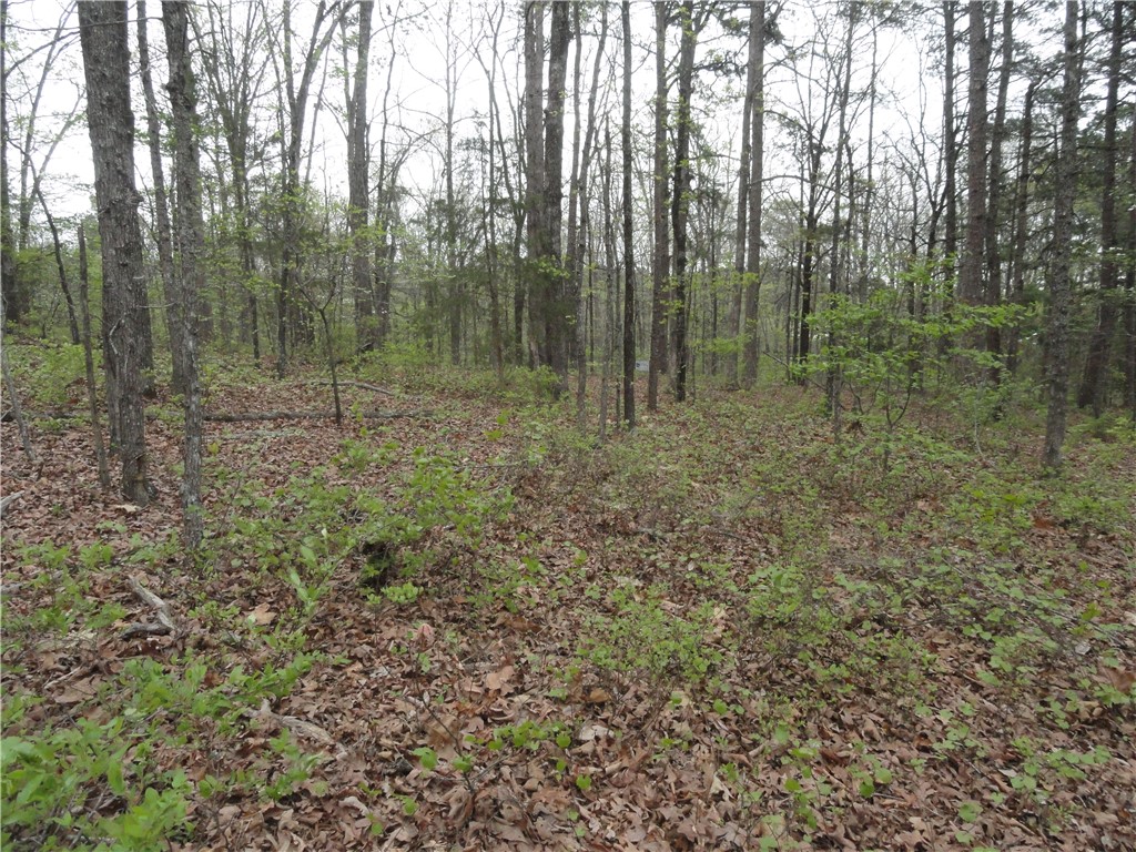 Hunter Mtn Estates - Land