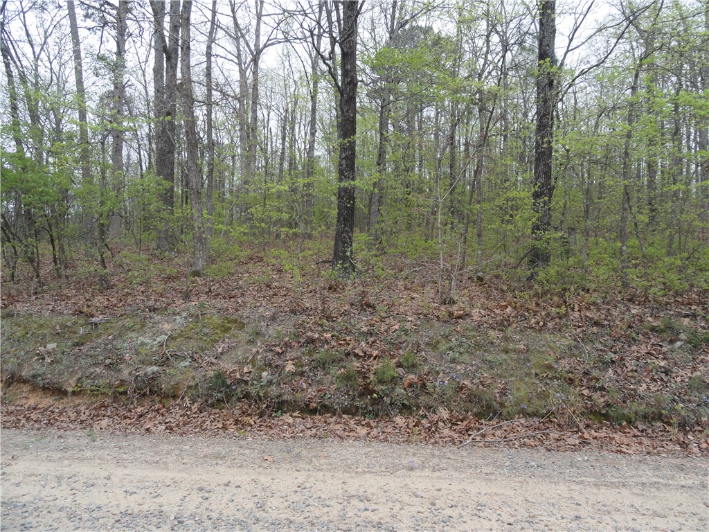 Hunter Mtn Estates - Land