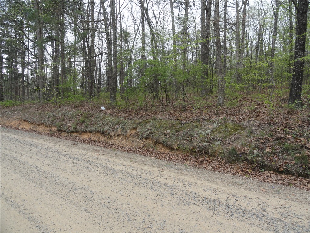 Hunter Mtn Estates - Land