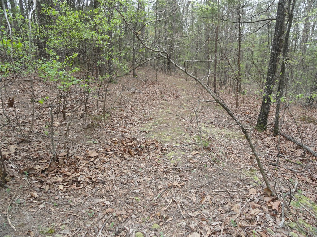 Hunter Mtn Estates - Land