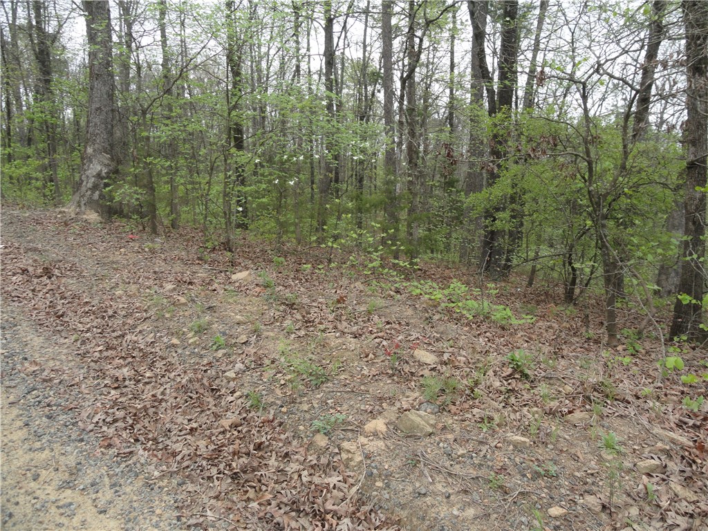 Hunter Mtn Estates - Land