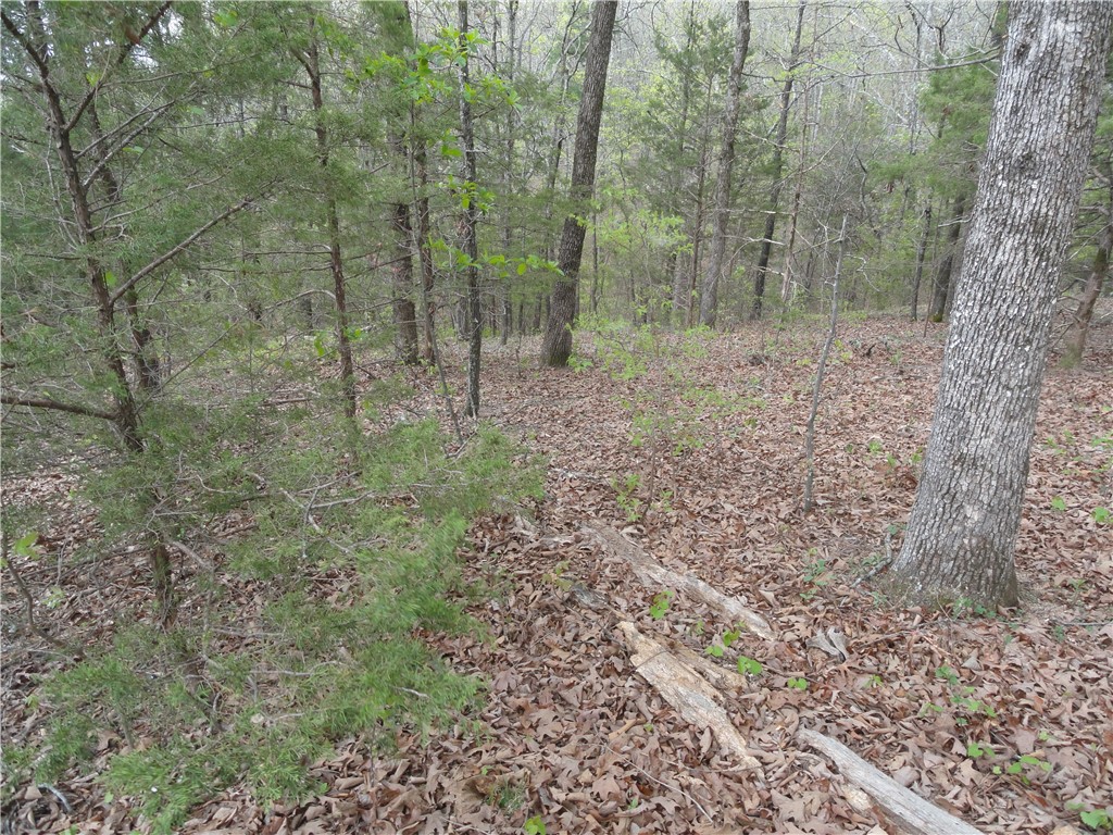 Hunter Mtn Estates - Land