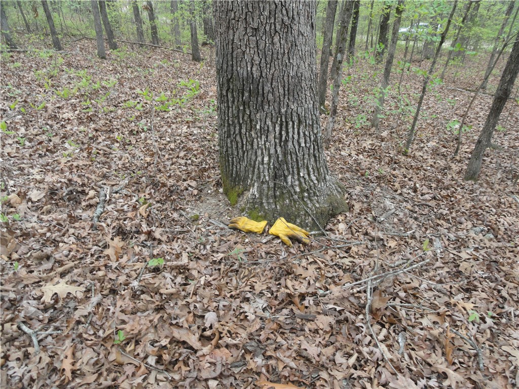 Hunter Mtn Estates - Land