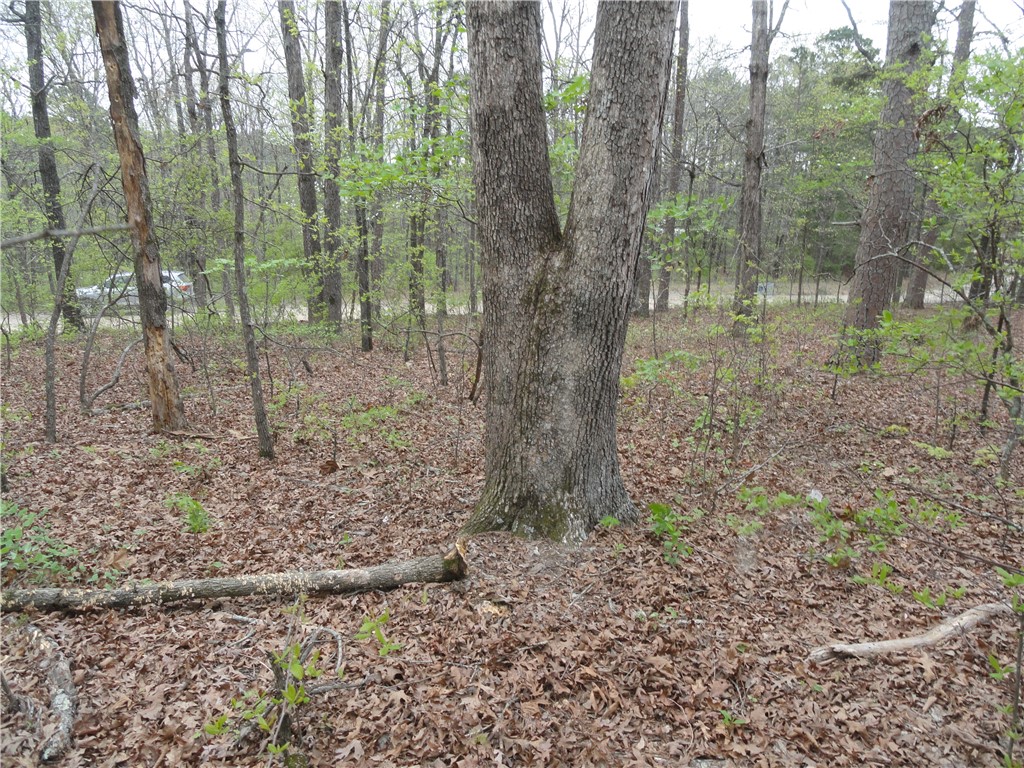 Hunter Mtn Estates - Land
