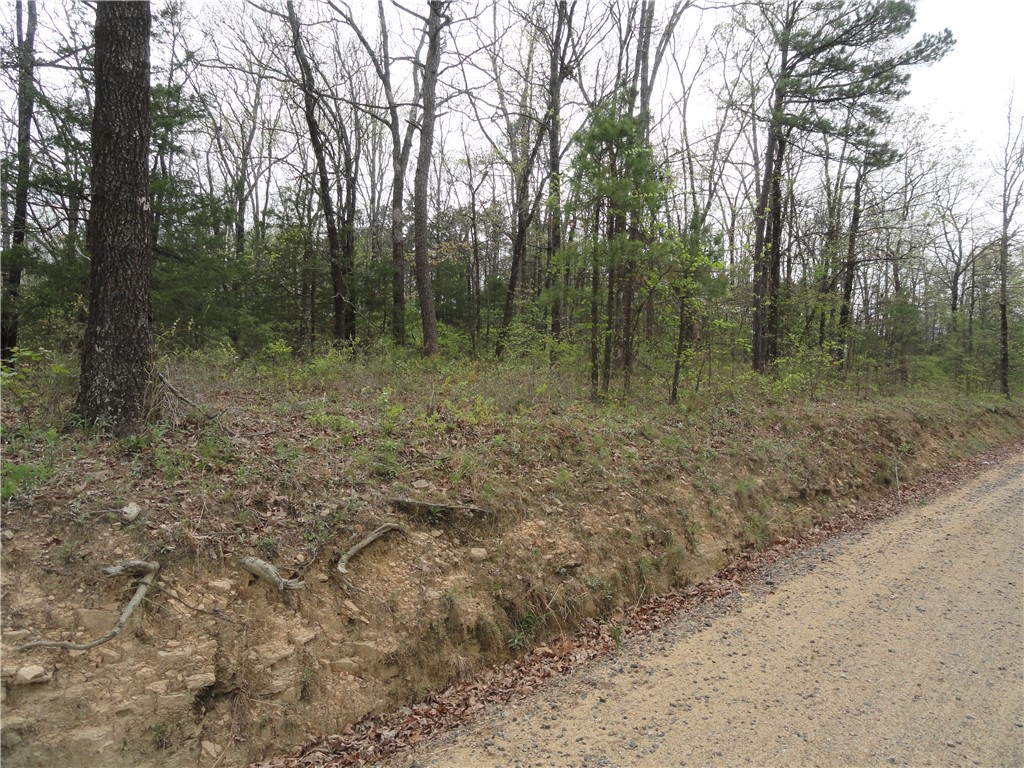 Hunter Mtn Estates - Land