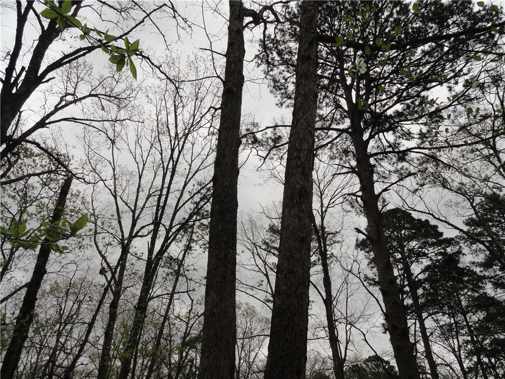 Hunter Mtn Estates - Land