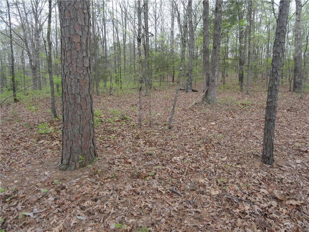 Hunter Mtn Estates - Land