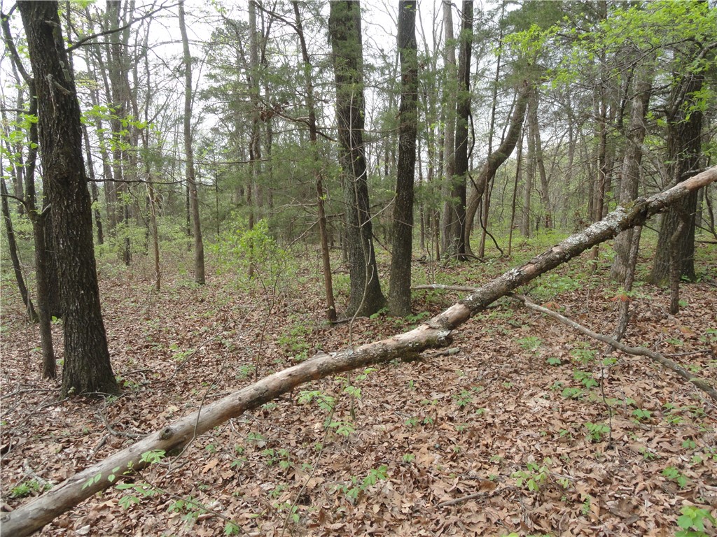 Hunter Mtn Estates - Land