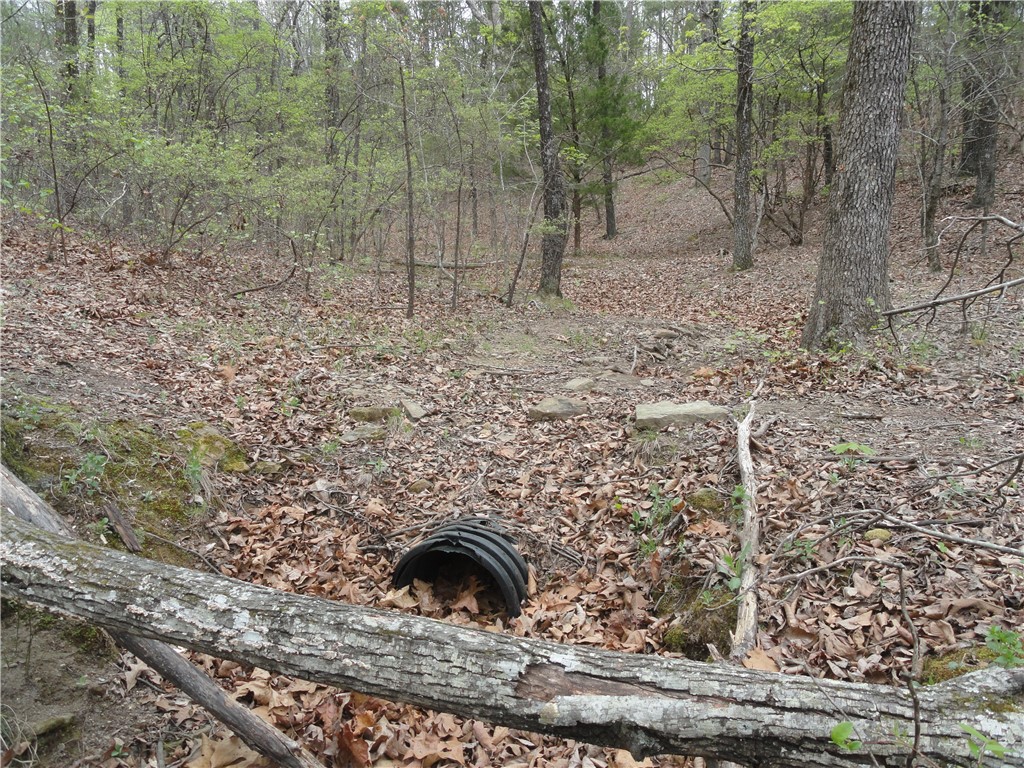 Hunter Mtn Estates - Land
