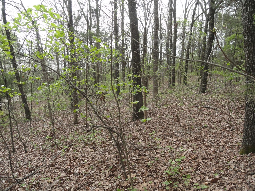 Hunter Mtn Estates - Land