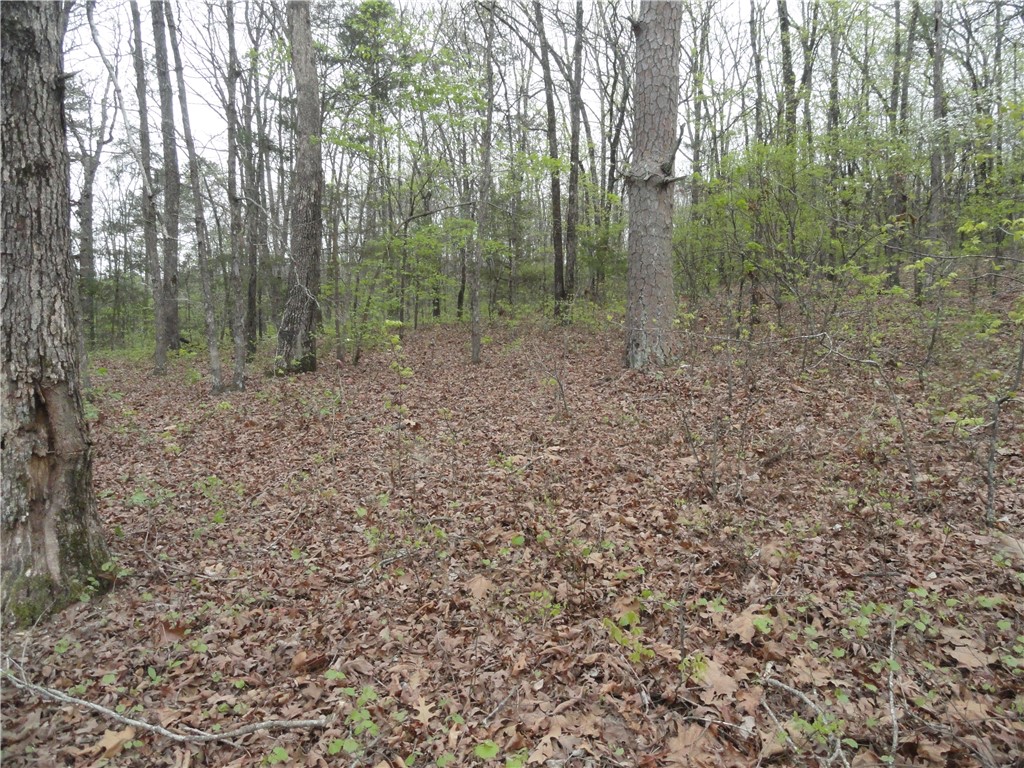 Hunter Mtn Estates - Land