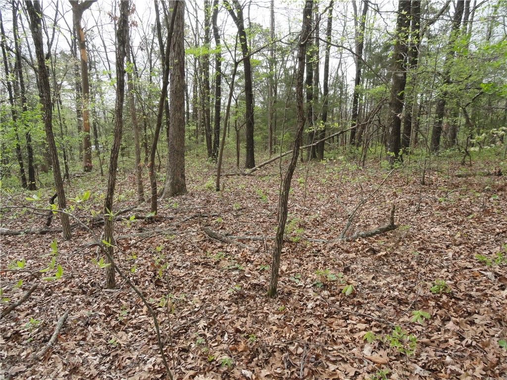 Hunter Mtn Estates - Land