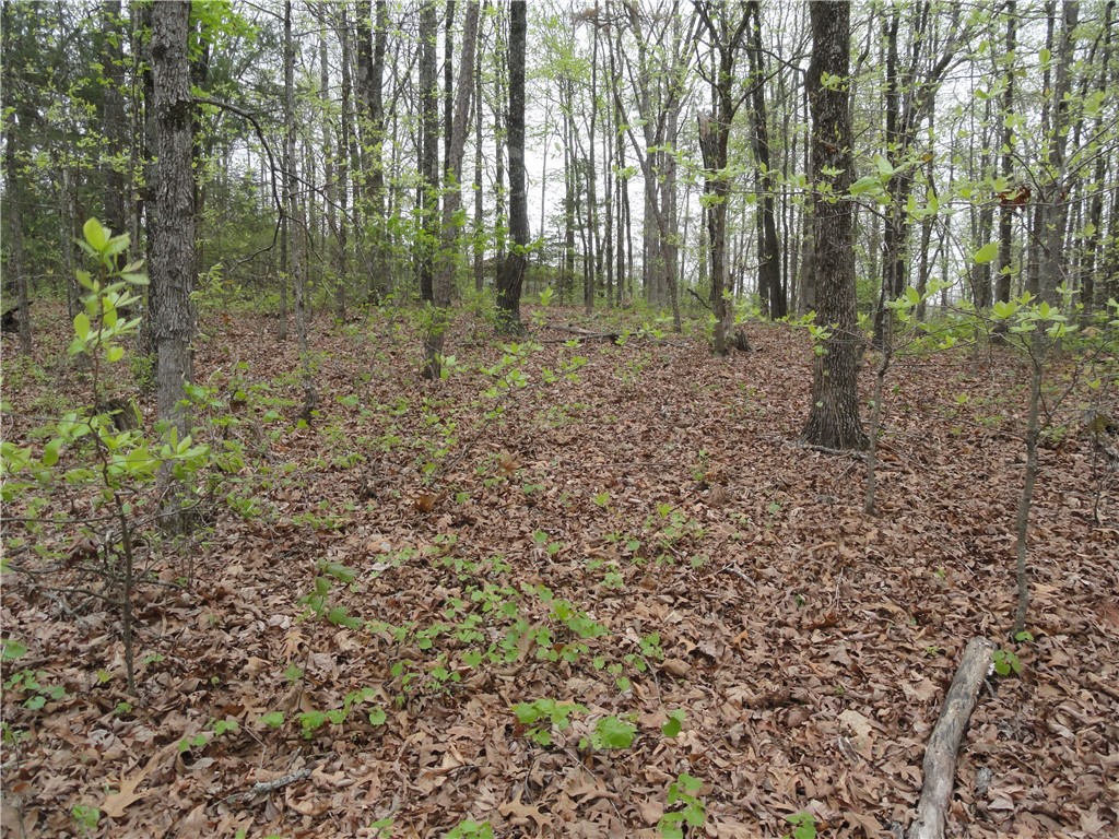Hunter Mtn Estates - Land